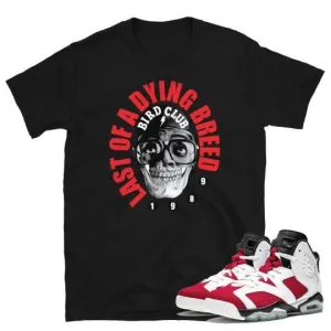 Retro 6 Carmine Sneaker shirt